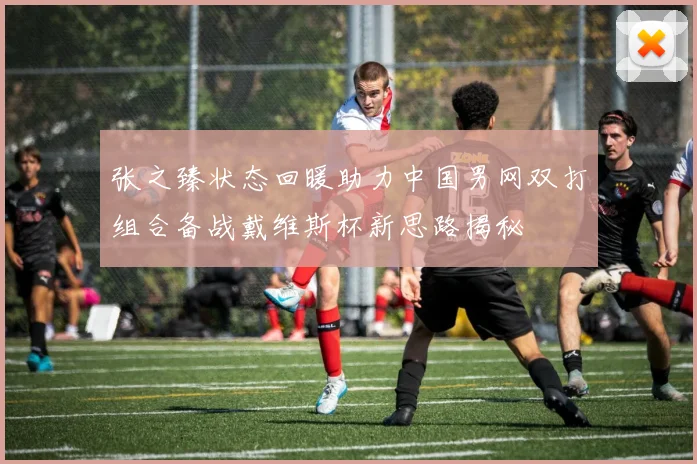 张之臻状态回暖助力中国男网双打组合备战戴维斯杯新思路揭秘