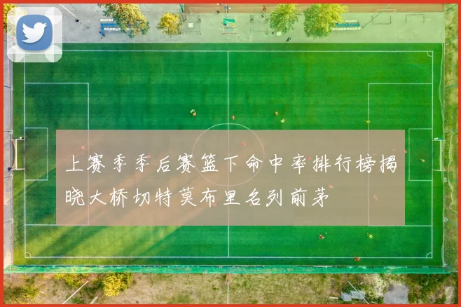 上赛季季后赛篮下命中率排行榜揭晓大桥切特莫布里名列前茅