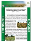 Sorghum Technology and Marketing Strategies Increase Farm Income in West Africa